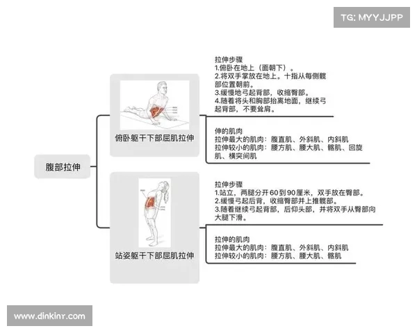 拉伸训练对身体健康的多重益处与科学原理解析